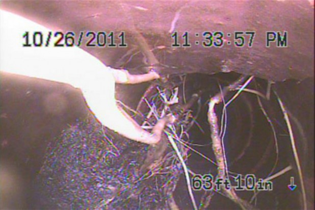 SEWER CAM PIC 2